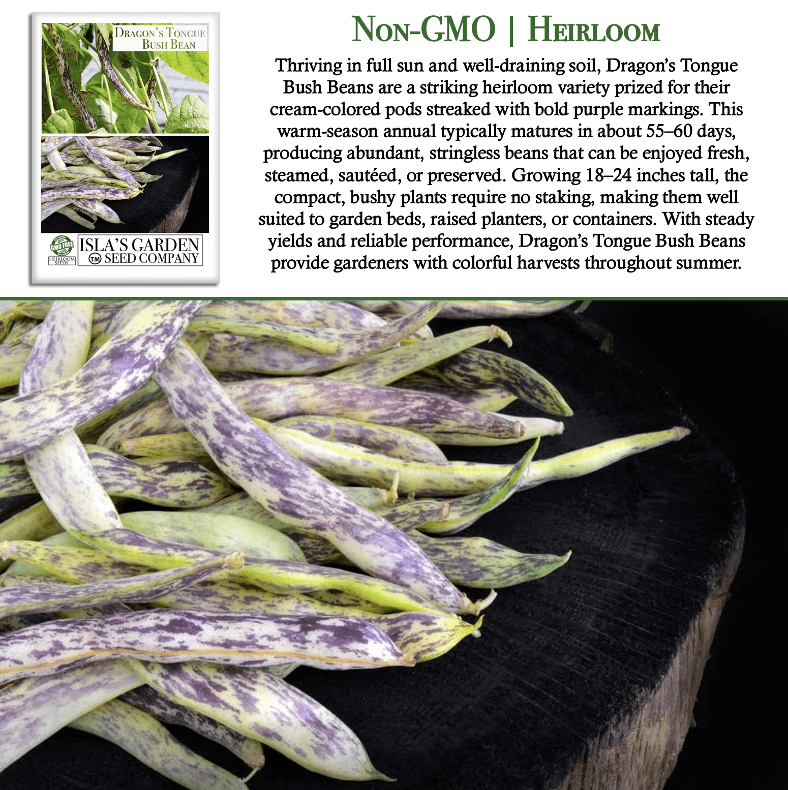 Dragon's Tongue Bush Bean Dragon Langerie , 25 Heirloom Seeds Per Packet, Non GMO Seeds