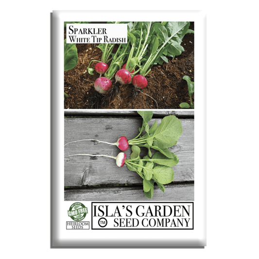 Sparkler White Tip Radish | 100 Seeds/Pk