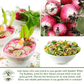 Sparkler White Tip Radish | 100 Seeds/Pk