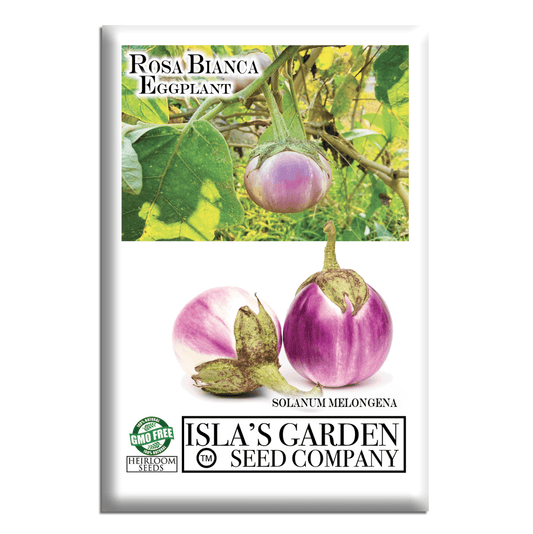 Rosa Bianca Eggplant, 100 Heirloom Seeds Per Packet