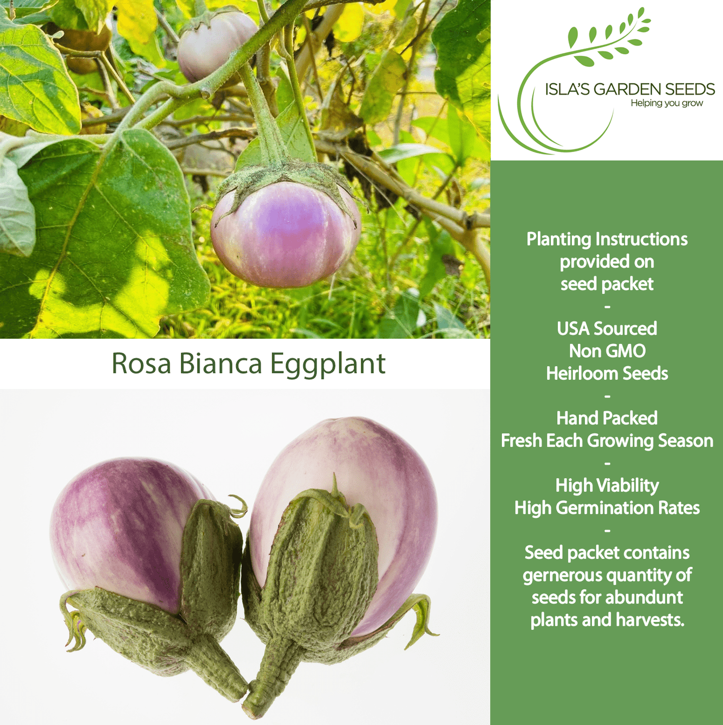 Rosa Bianca Eggplant, 100 Heirloom Seeds Per Packet