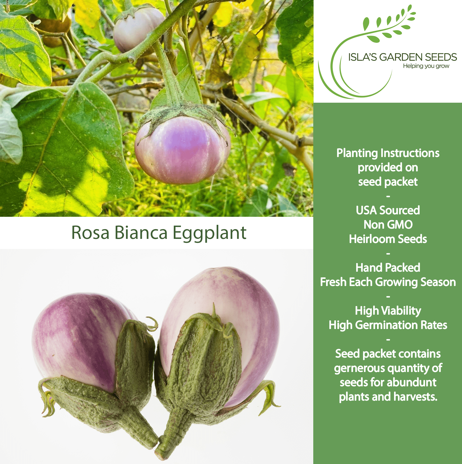 Rosa Bianca Eggplant, 100 Heirloom Seeds Per Packet