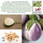 Rosa Bianca Eggplant, 100 Heirloom Seeds Per Packet