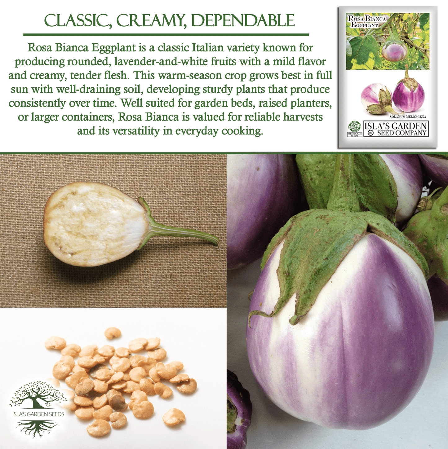 Rosa Bianca Eggplant, 100 Heirloom Seeds Per Packet