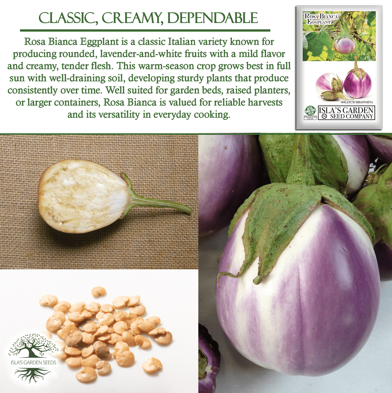 Rosa Bianca Eggplant, 100 Heirloom Seeds Per Packet
