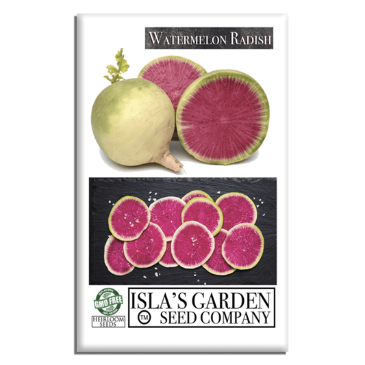 Watermelon Radish | 120 Seeds/Pk