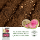 Watermelon Radish | 120 Seeds/Pk