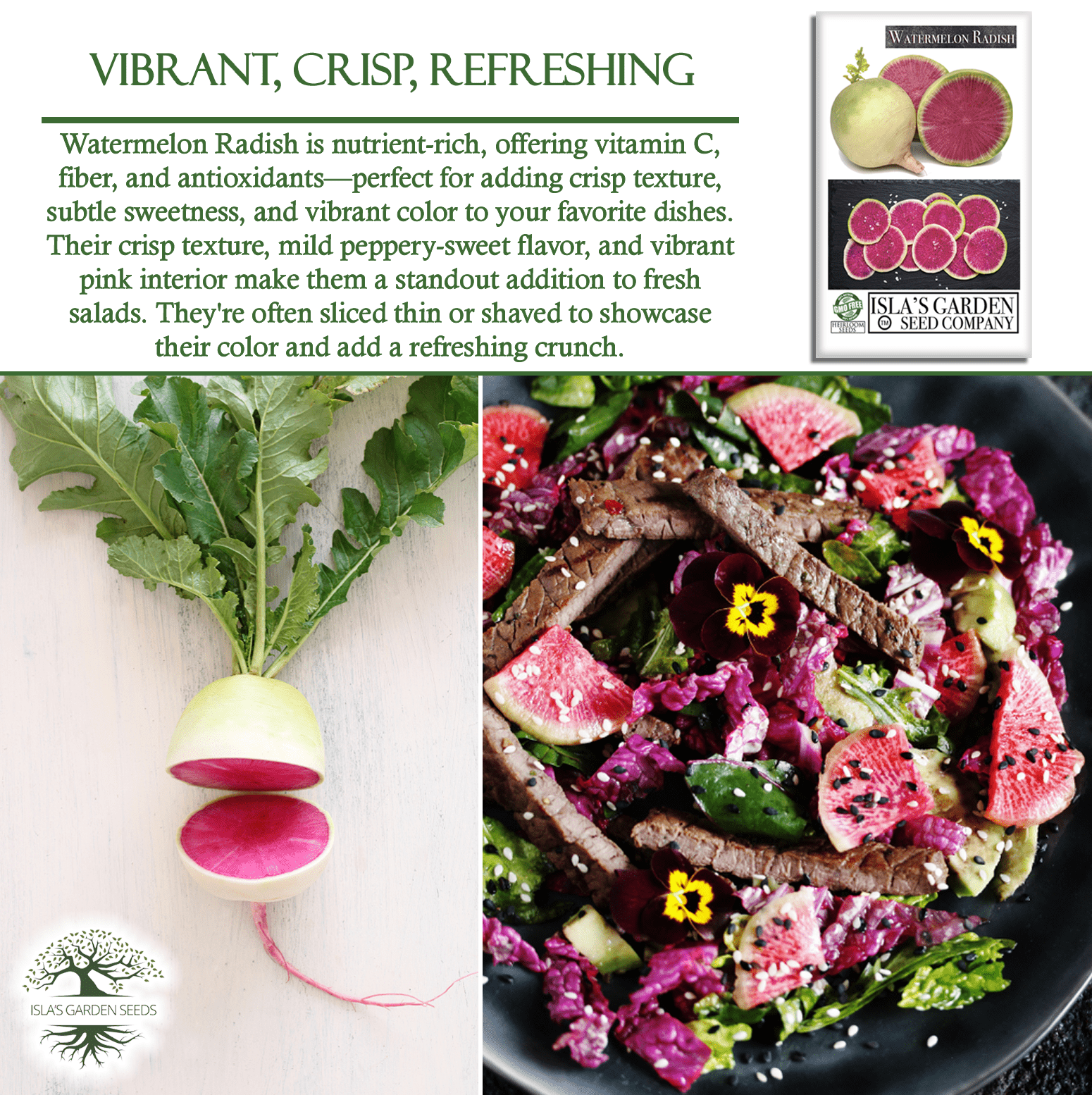 Watermelon Radish | 120 Seeds/Pk