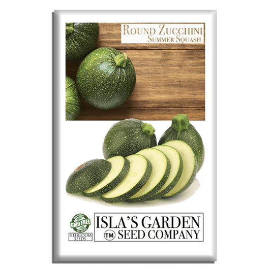 Round Zucchini Summer Squash | 40 Seeds/Pk