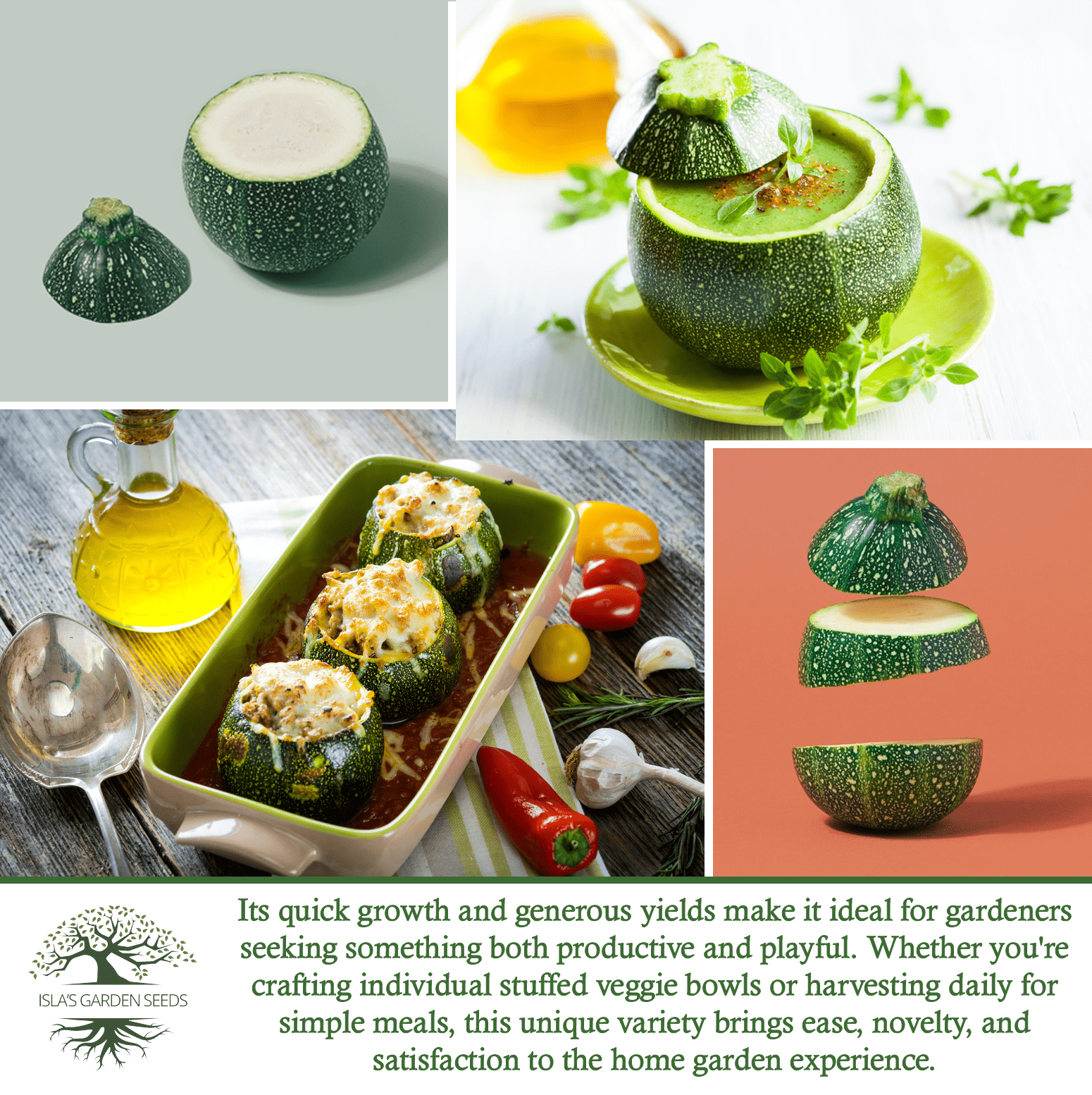 Round Zucchini Summer Squash | 40 Seeds/Pk