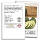 Round Zucchini Summer Squash | 40 Seeds/Pk