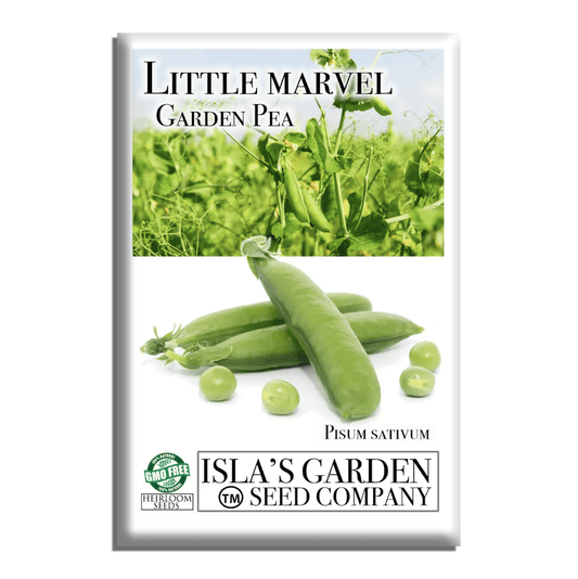 Little Marvel Pea | 50 Seeds/Pk