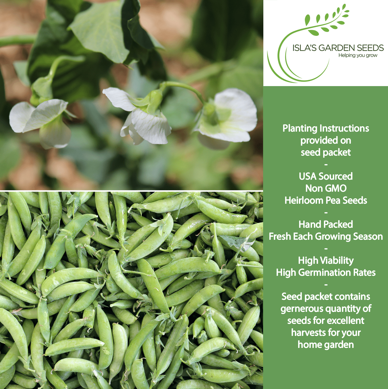 little garden seeds Little Marvel Pea Seeds, 50 Heirloom Seeds Per Packet, Non GMO Seeds
