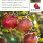 Pomegranate Tree Seeds | 30 Seeds/Pk