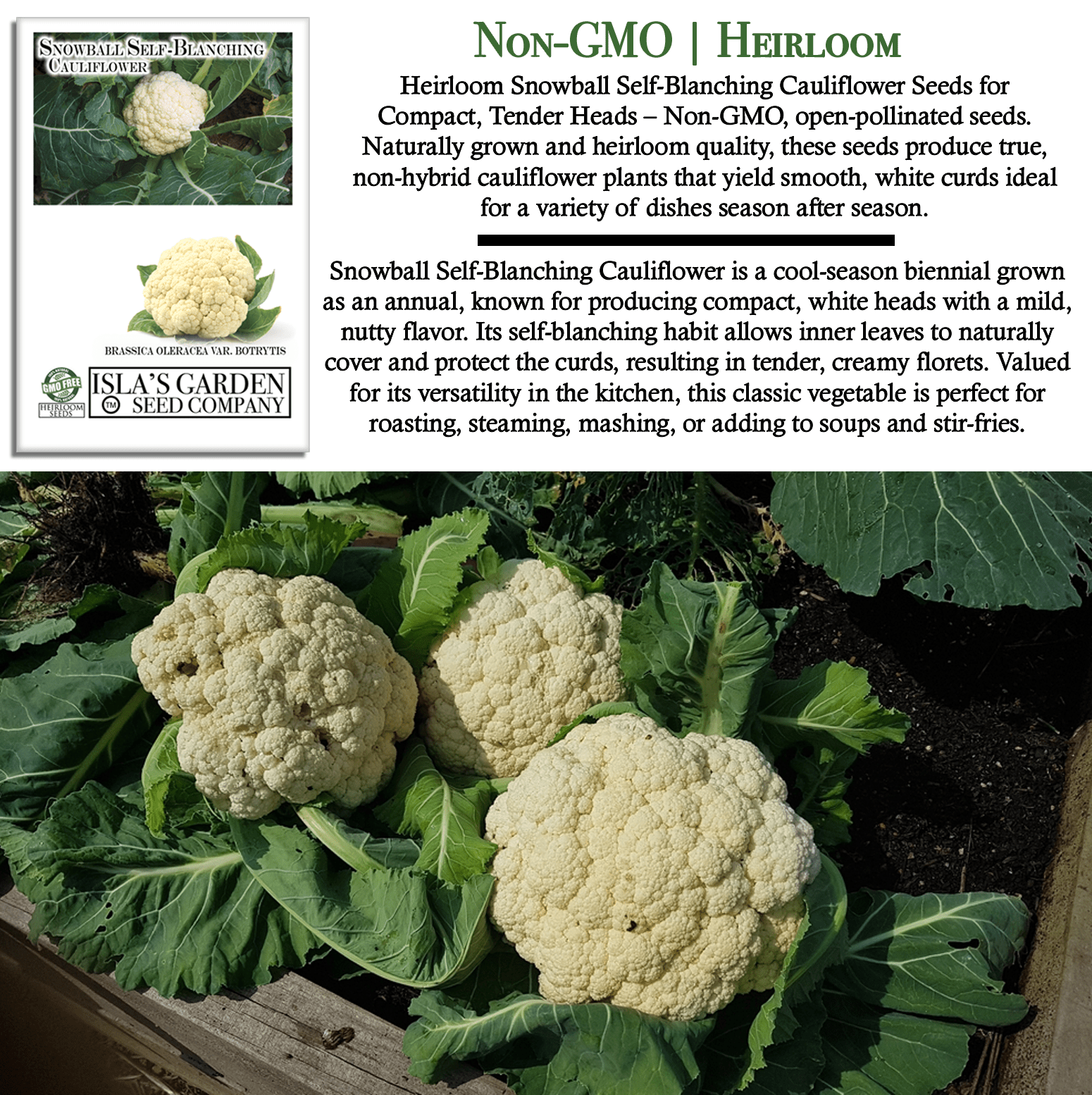 Snowball Self Blanching Cauliflower | 1,000 Seeds/Pk
