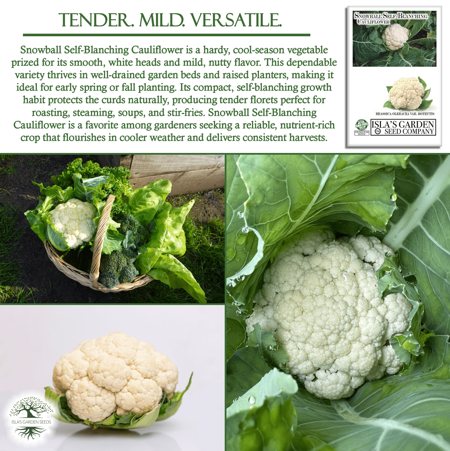 Snowball Self Blanching Cauliflower | 1,000 Seeds/Pk