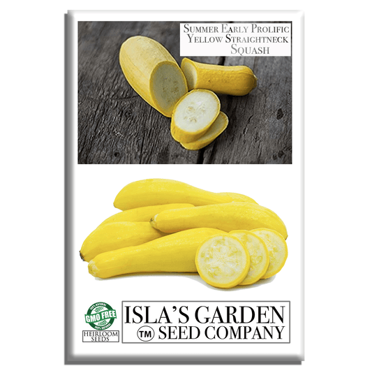Early Prolific Straightneck Squash | 50 Seeds/Pk