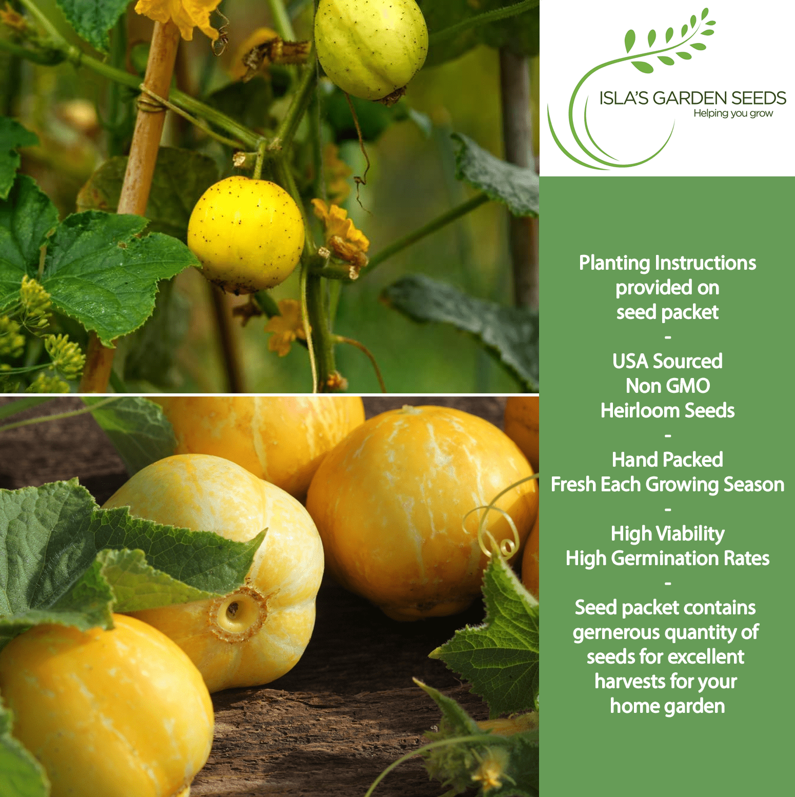 Lemon Cucumber | 125 Seeds/Pk