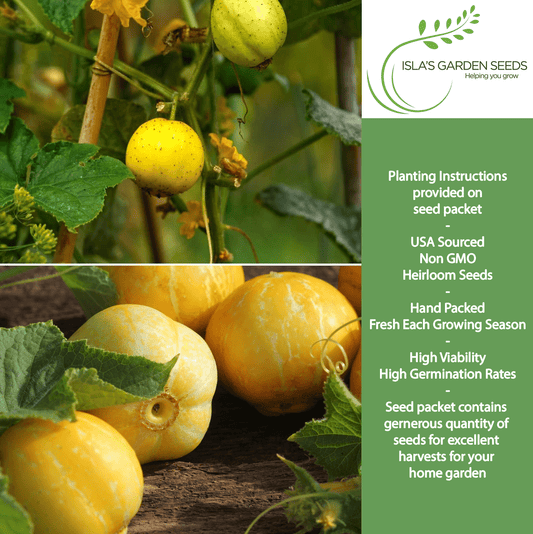 Lemon Cucumber | 125 Seeds/Pk