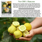 Lemon Cucumber | 125 Seeds/Pk