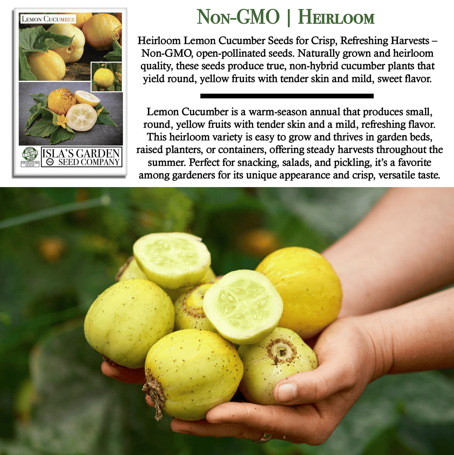 Lemon Cucumber | 125 Seeds/Pk