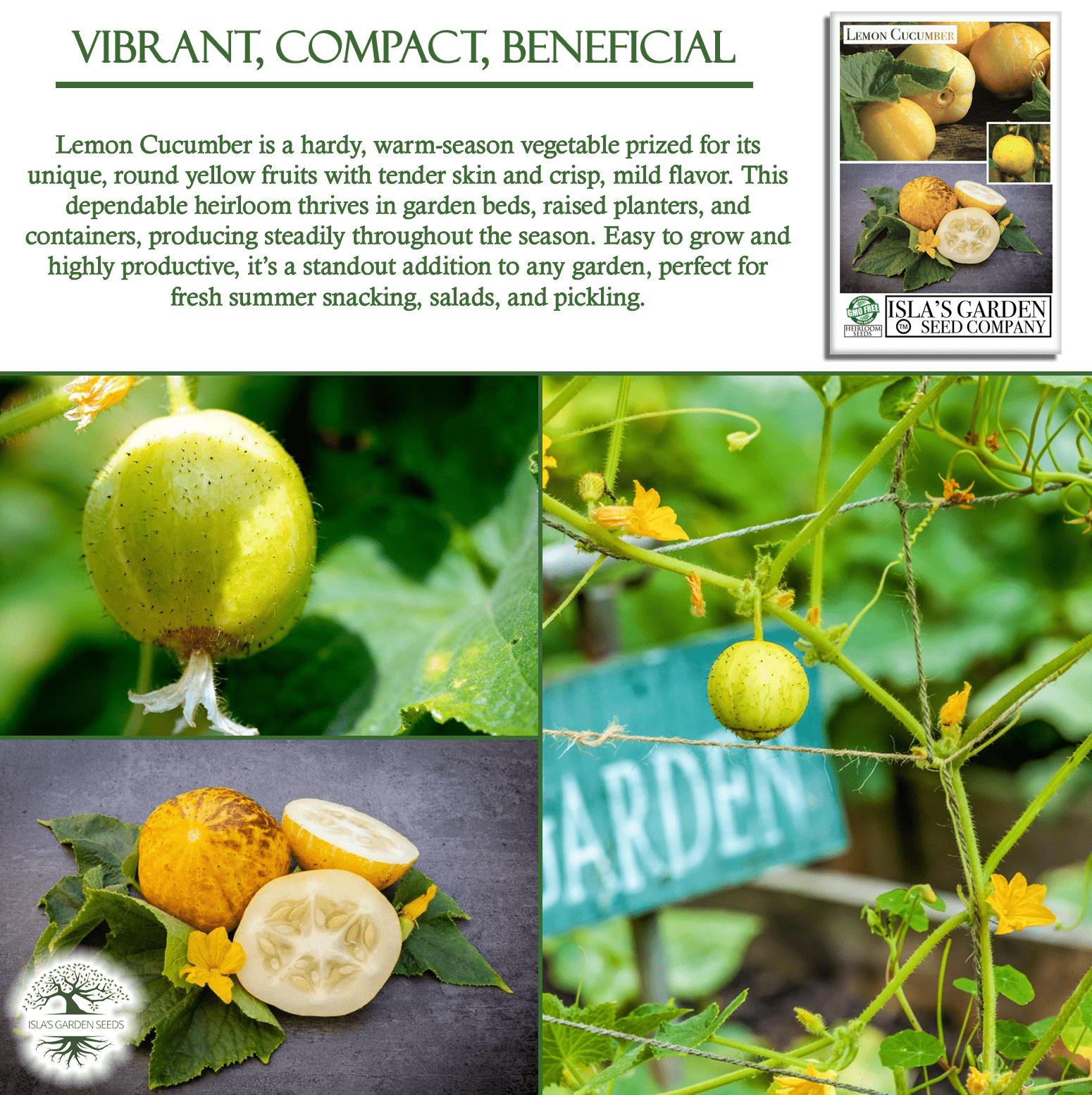 Lemon Cucumber | 125 Seeds/Pk