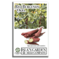 Red Burgundy Okra | 100 Seeds/Pk
