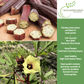 Red Burgundy Okra | 100 Seeds/Pk