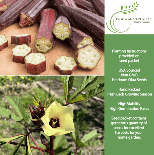Red Burgundy Okra | 100 Seeds/Pk