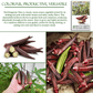 Red Burgundy Okra | 100 Seeds/Pk