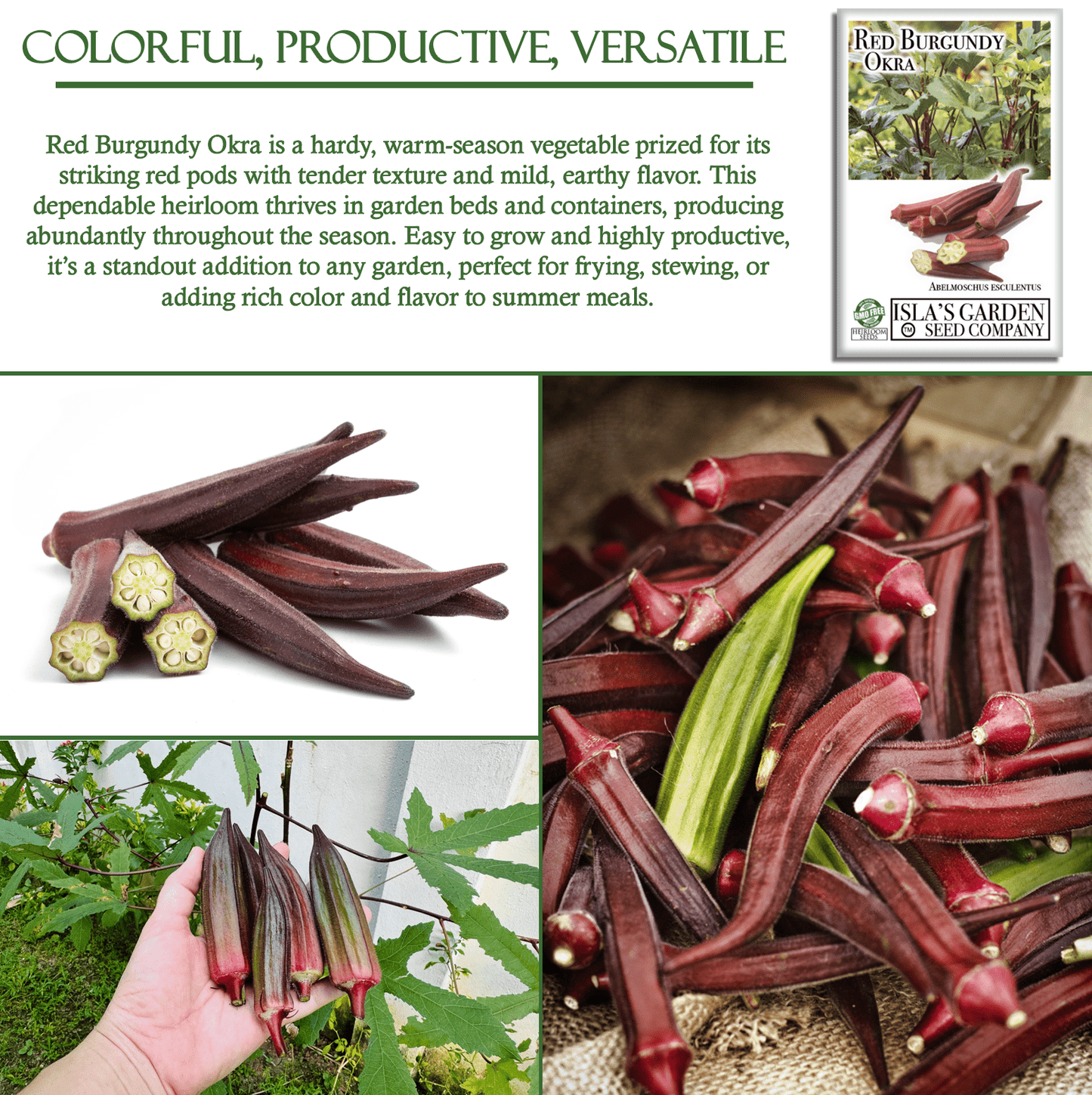 Red Burgundy Okra | 100 Seeds/Pk