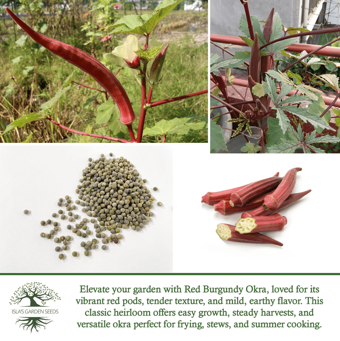 Red Burgundy Okra | 100 Seeds/Pk