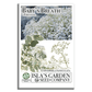 Baby’s Breath Flowers | 2000 Seeds/Pk