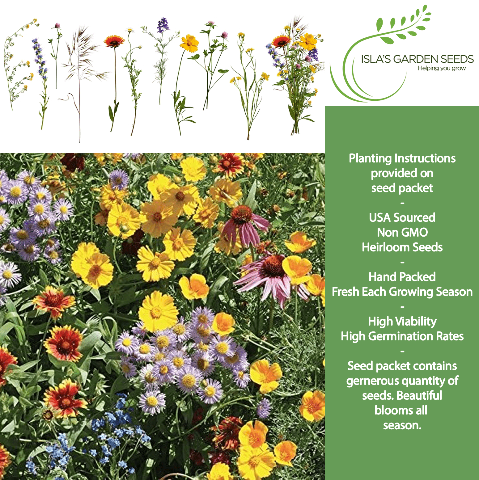 Burst of Bloom Wildflowers | 2500 Seeds/Pk