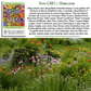 Burst of Bloom Wildflowers | 2500 Seeds/Pk