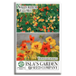 Nasturtium Tall Single Blend Flowers | 50 Seeds/Pk