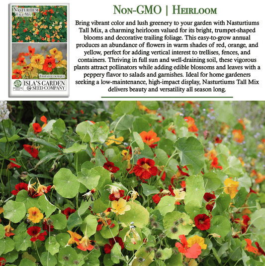 Nasturtium Tall Single Blend Flowers | 50 Seeds/Pk