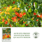 Nasturtium Tall Single Blend Flowers | 50 Seeds/Pk