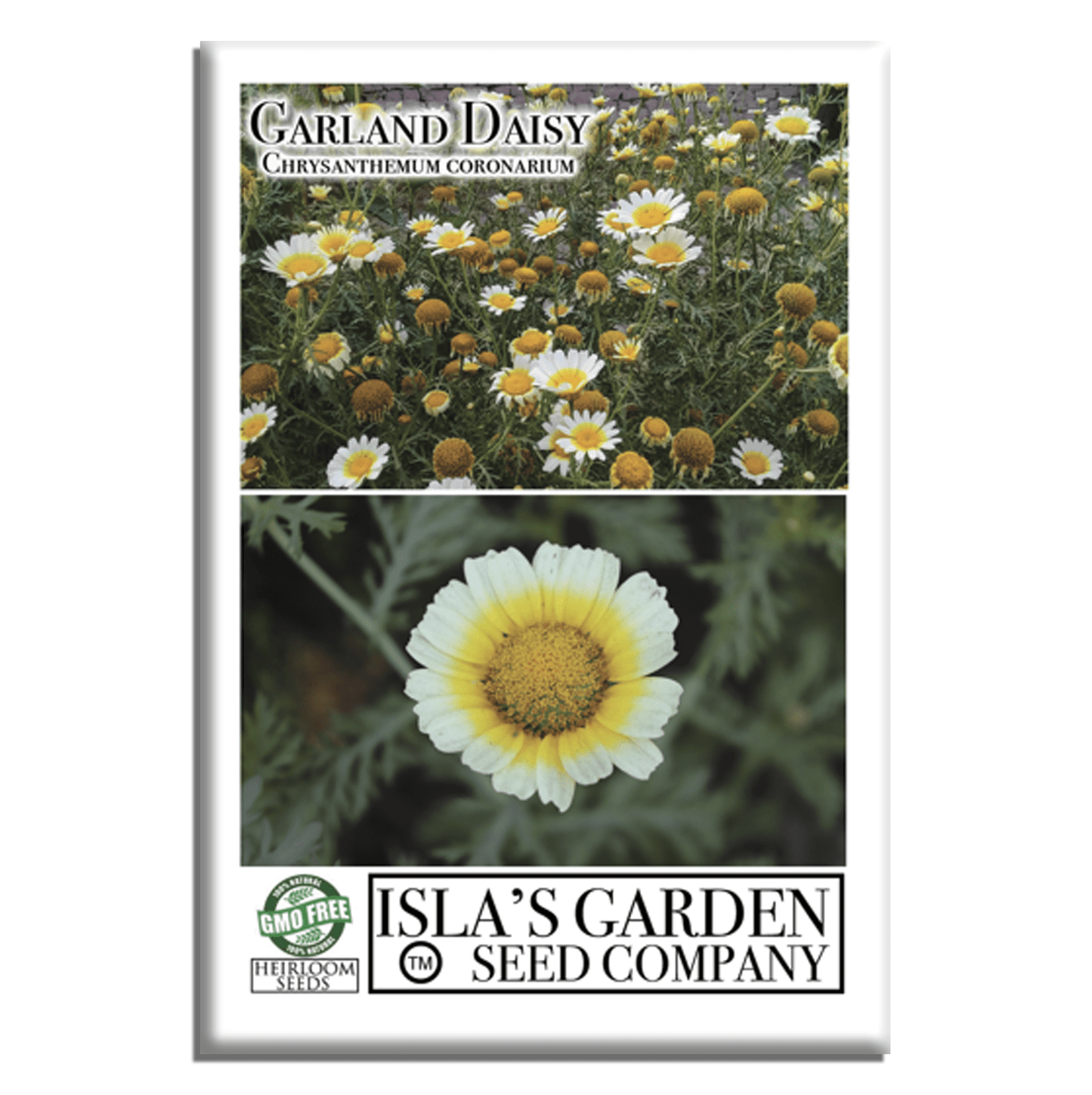 chrysanthemum cut flower seeds Chrysanthemum Flower Seeds, 1500+ Premium Heirloom Seed, Chrysanthemum Coronariu