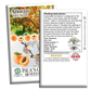 Apricot Fruit Tree Seeds | 3 Seeds/Pk