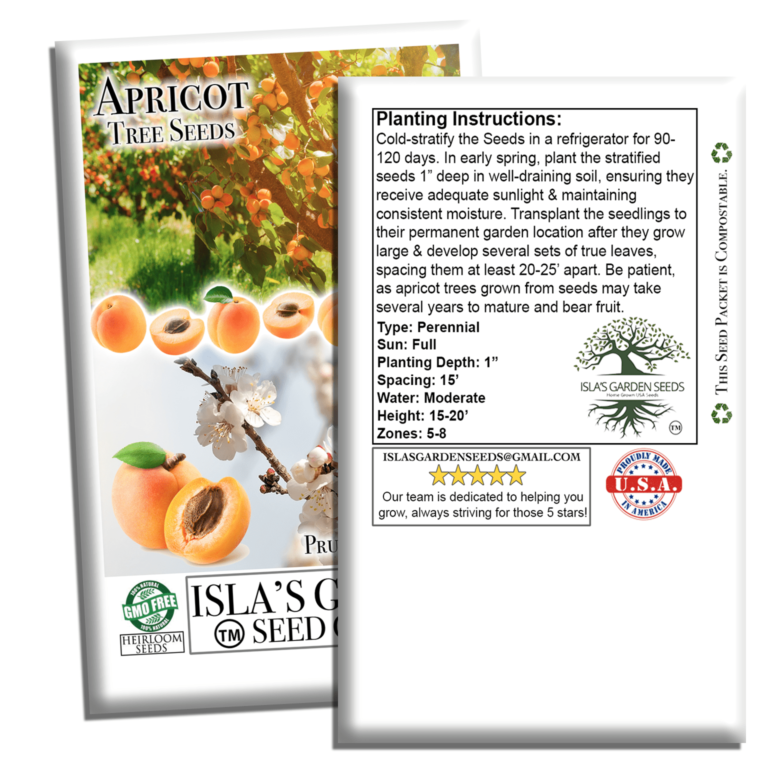 garden tree seeds Apricot Fruit Tree Seeds