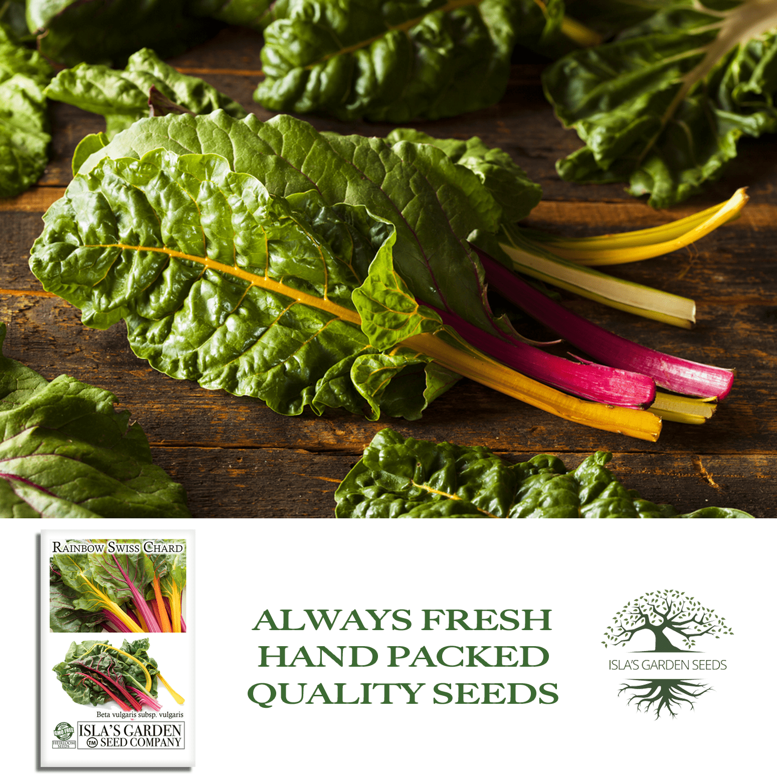 Swiss Chard Rainbow | 300 Seeds/Pk