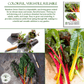 Swiss Chard Rainbow | 300 Seeds/Pk