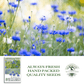 Bachelor Button Tall Blue Cornflowers | 200 Seeds/Pk