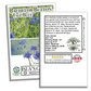 Bachelor Button Tall Blue Cornflowers | 200 Seeds/Pk