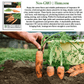 Imperator 58 Carrots | 400 Seeds/Pk