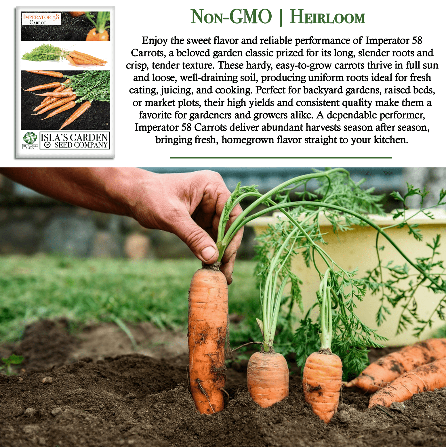 Imperator 58 Carrots | 400 Seeds/Pk