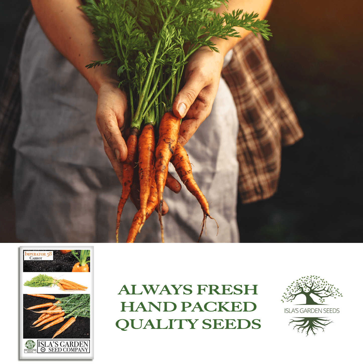 Imperator 58 Carrots | 400 Seeds/Pk