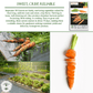 Imperator 58 Carrots | 400 Seeds/Pk