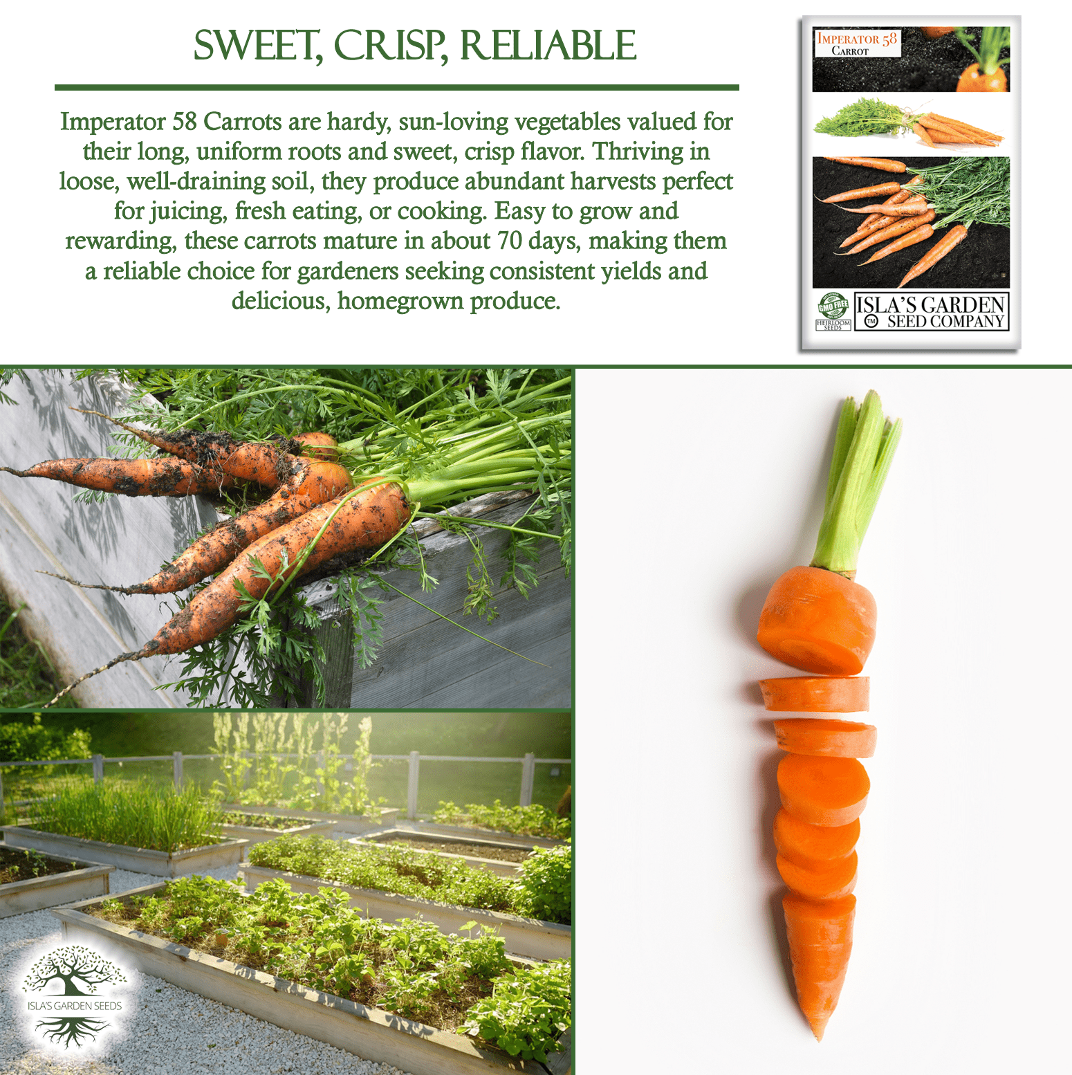 Imperator 58 Carrots | 400 Seeds/Pk